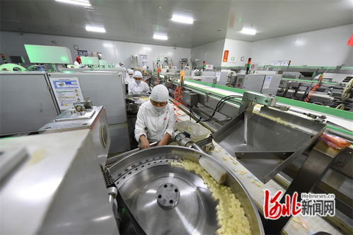 邯鄲 做優(yōu)平臺(tái),讓項(xiàng)目落地快發(fā)展好