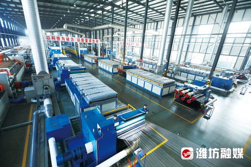 濰坊高密 產(chǎn)業(yè)聚 鏈 成勢 園區(qū)向 新 發(fā)力